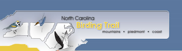 NC Birding Trail
